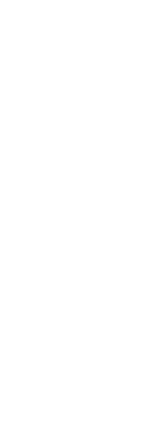 宮崎牛のジューシーな味わい